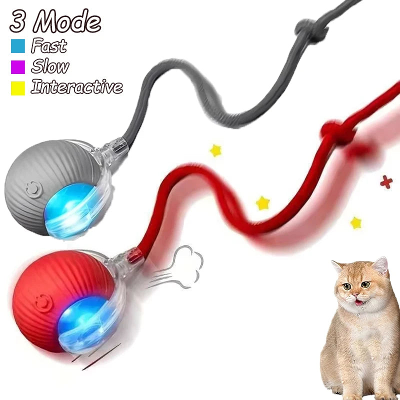 Cat Interactive Ball Toys – Automatic Rolling Rechargeable Pet Toy