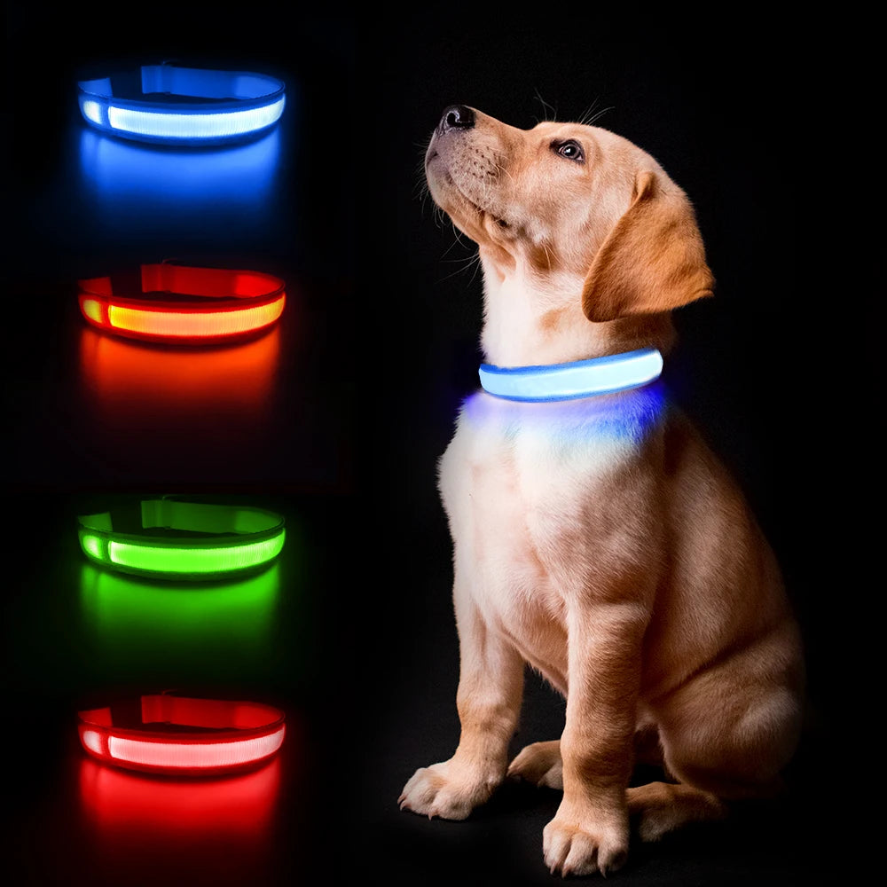 Rechargeable LED Waterproof Luminous Safety Collar for Night Walking Pets