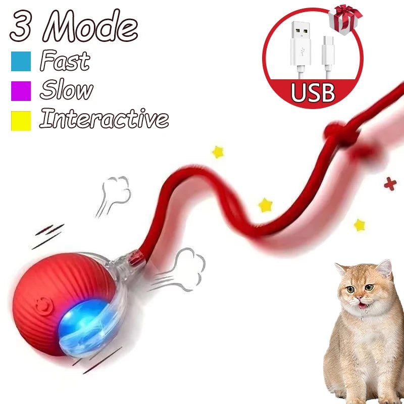 Cat Interactive Ball Toys – Automatic Rolling Rechargeable Pet Toy