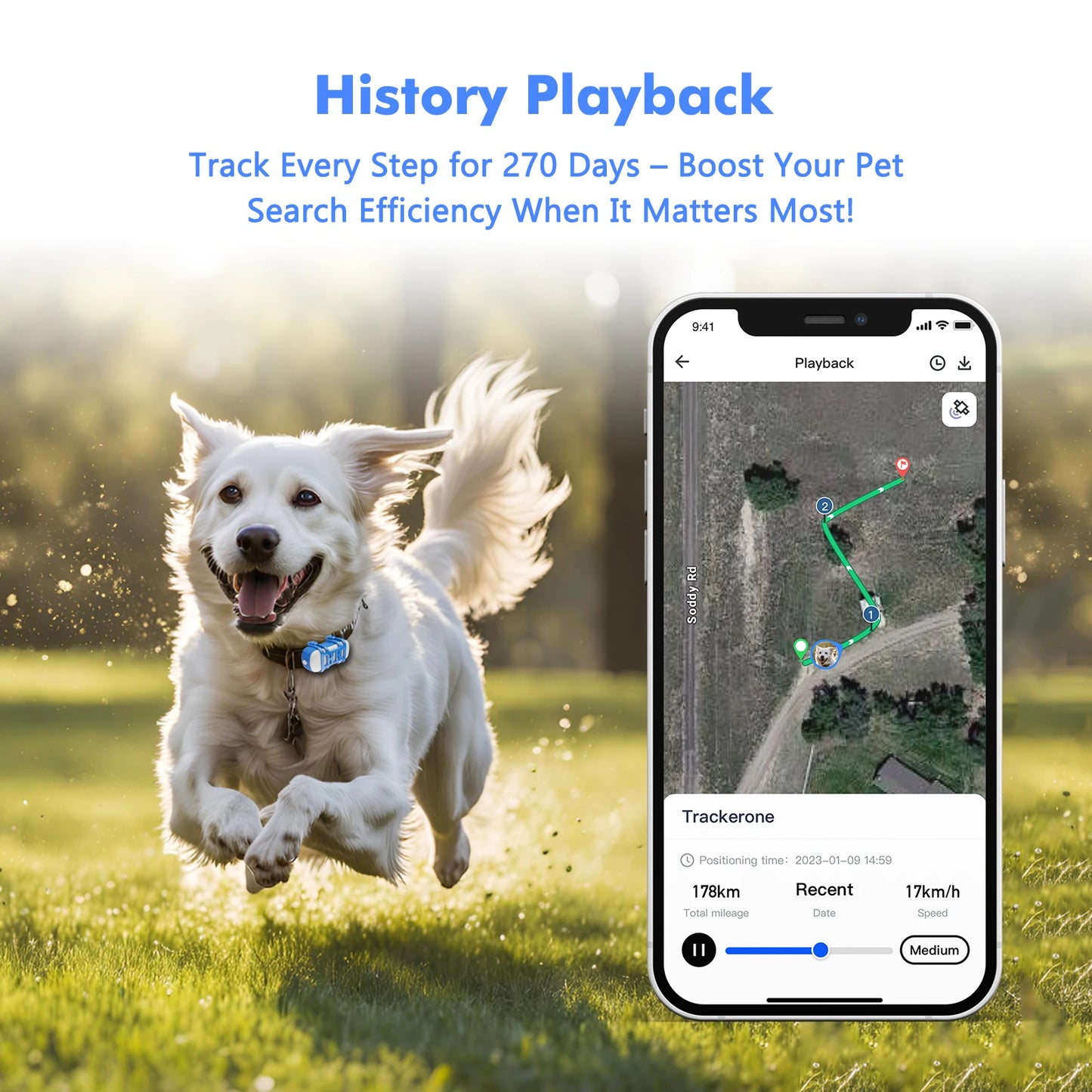 ‌4G Pet GPS Locator Tracker Waterproof Light/Sound Search