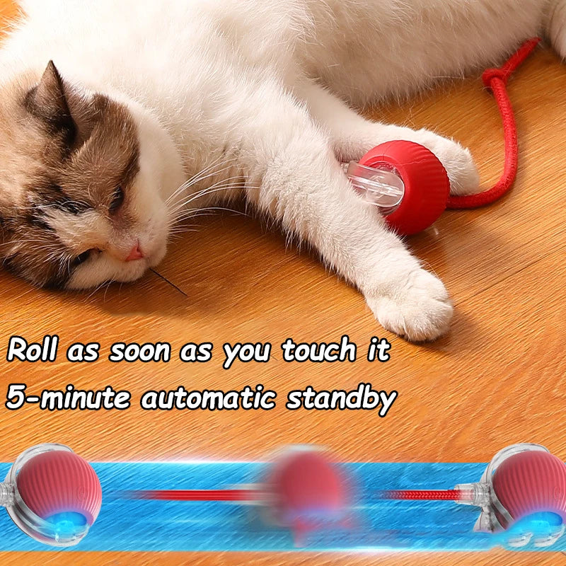 Cat Interactive Ball Toys – Automatic Rolling Rechargeable Pet Toy