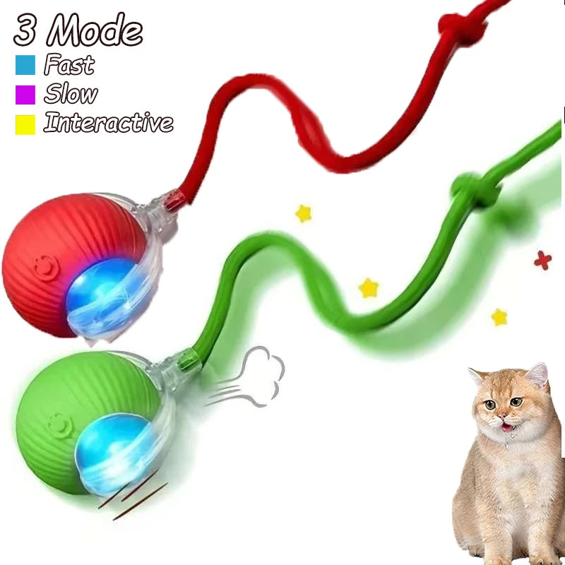 Cat Interactive Ball Toys – Automatic Rolling Rechargeable Pet Toy
