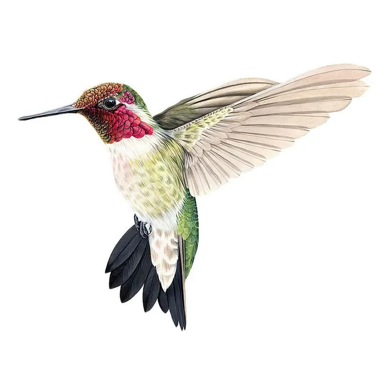 Beautiful Hummingbird Hand-Painted Bird Sticker – Decorative Art