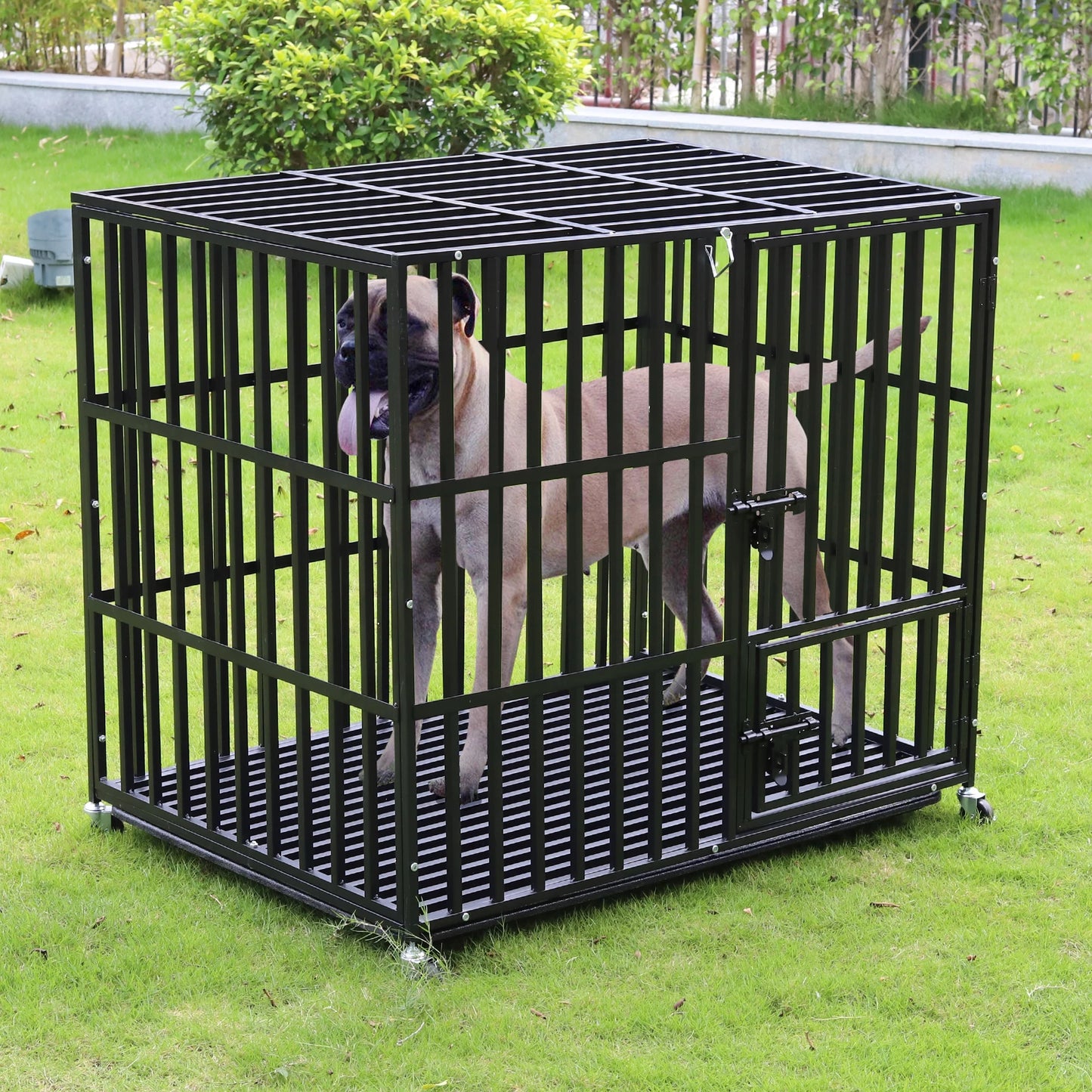 Heavy-Duty Metal Pet Crate with Doors, Locks, Removable Tray & Wheels