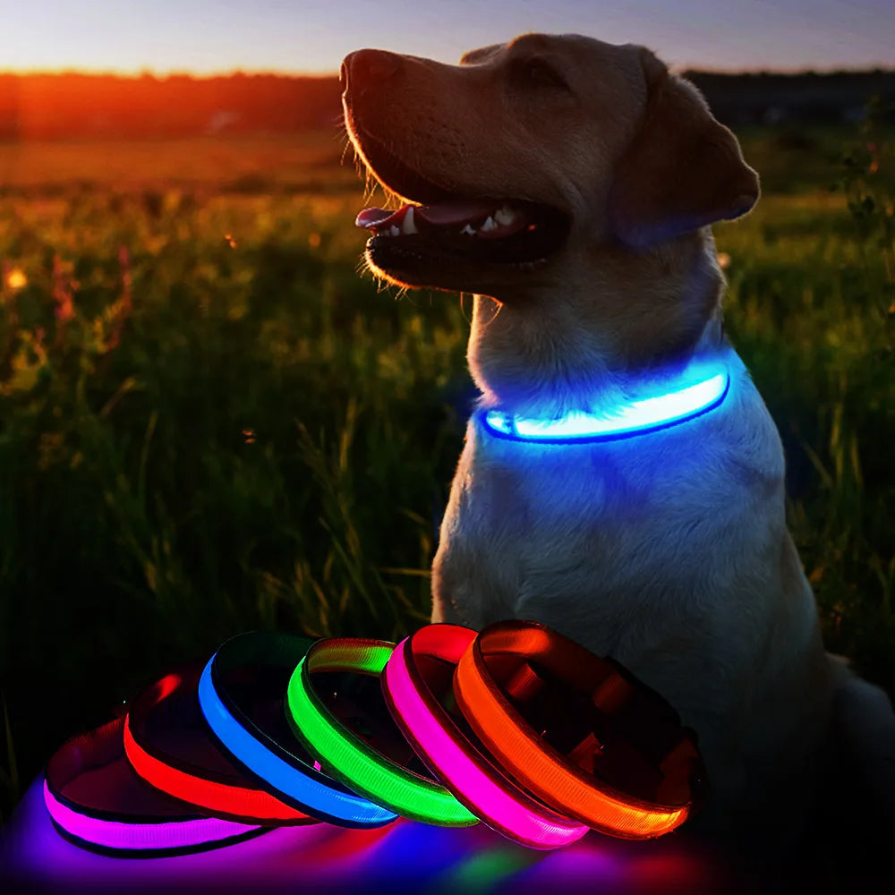 Rechargeable LED Waterproof Luminous Safety Collar for Night Walking Pets