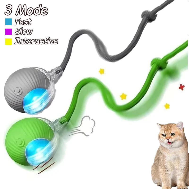 Cat Interactive Ball Toys – Automatic Rolling Rechargeable Pet Toy
