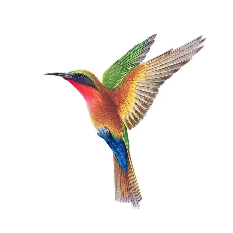 Beautiful Hummingbird Hand-Painted Bird Sticker – Decorative Art